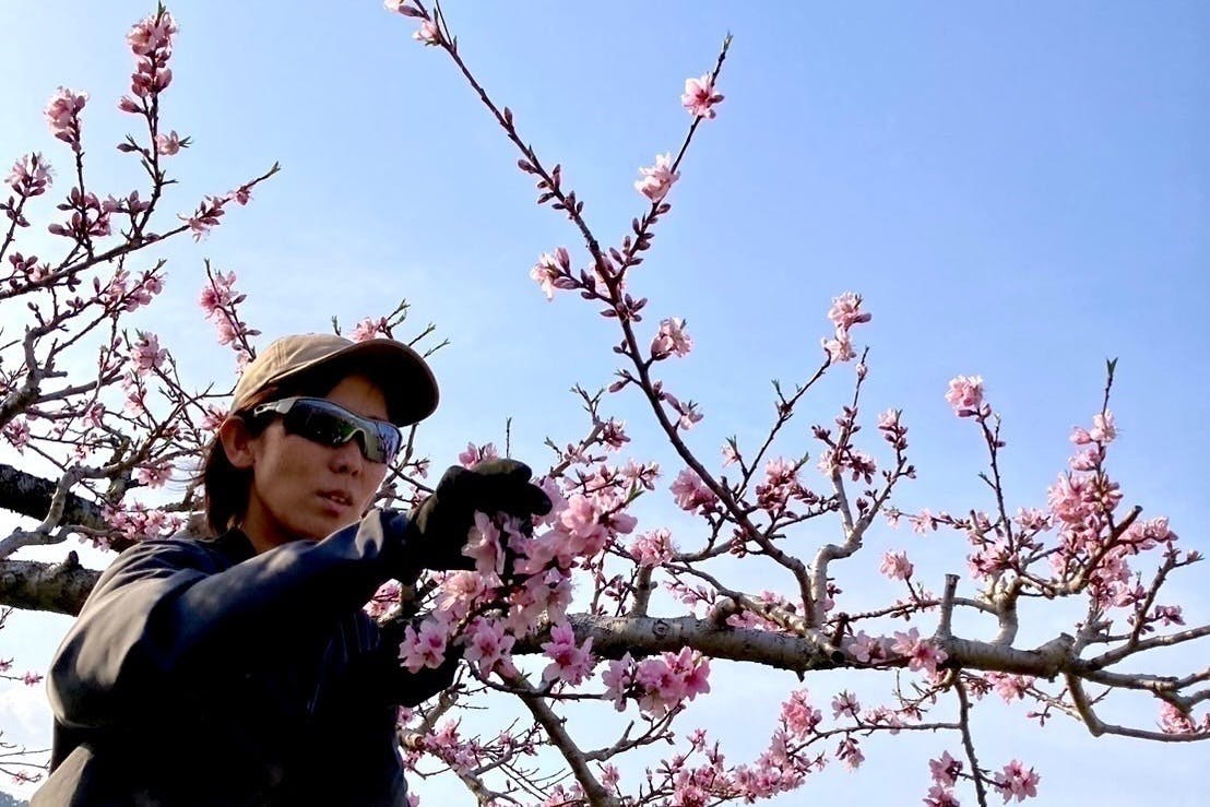 3番目のメイン画像