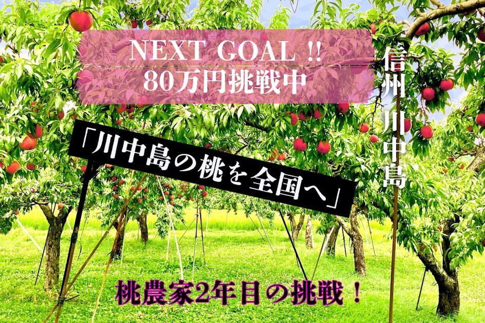川中島の桃を全国へ！長野・桃農家2年目の挑戦 〜桃を増やしたい