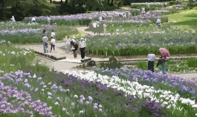 4番目のメイン画像