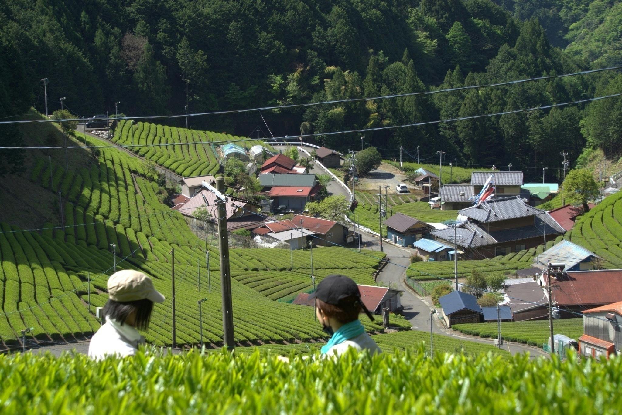 5番目のメイン画像