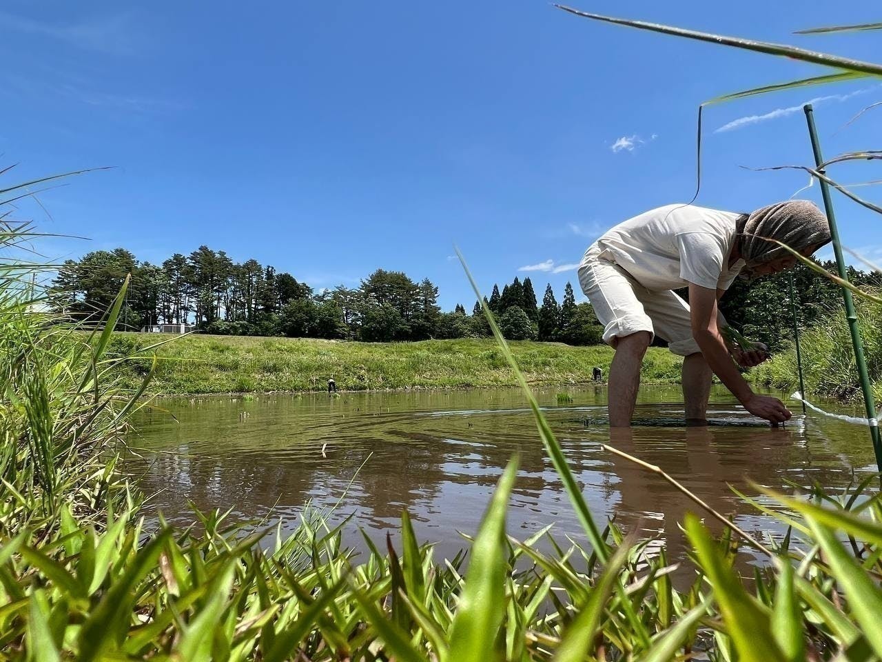 2番目のメイン画像