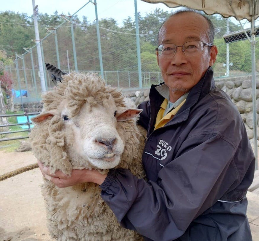 2番目のメイン画像