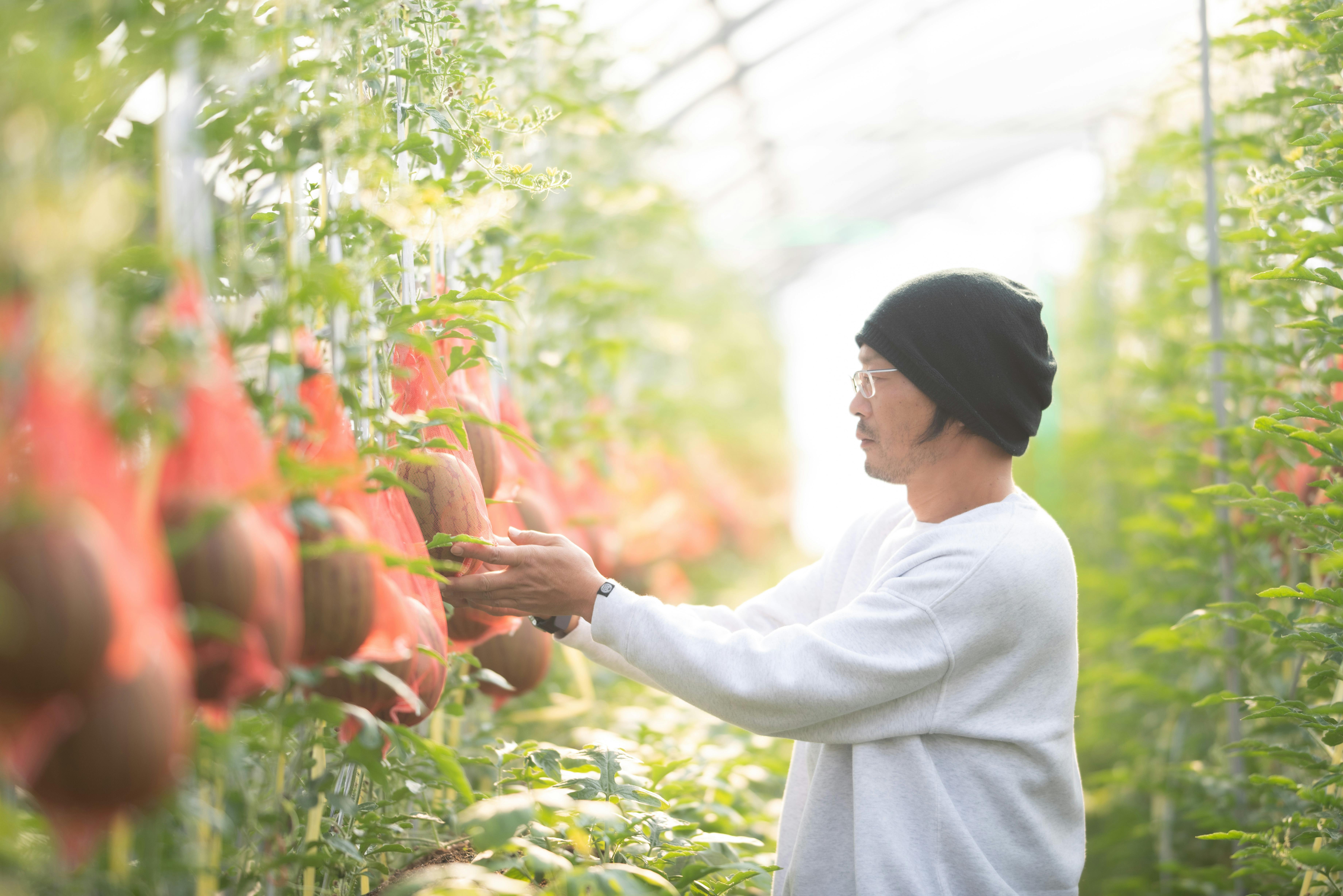 3番目のメイン画像