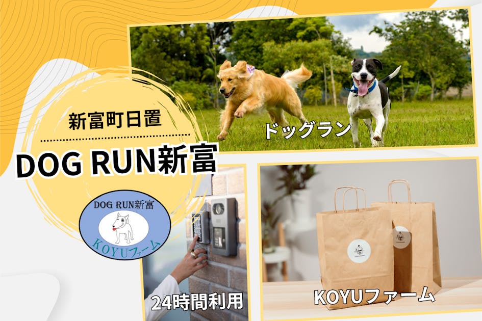 トックリラン 50株 まとめ売り ラスト 2aae0972-c17f-4bdc-b994-