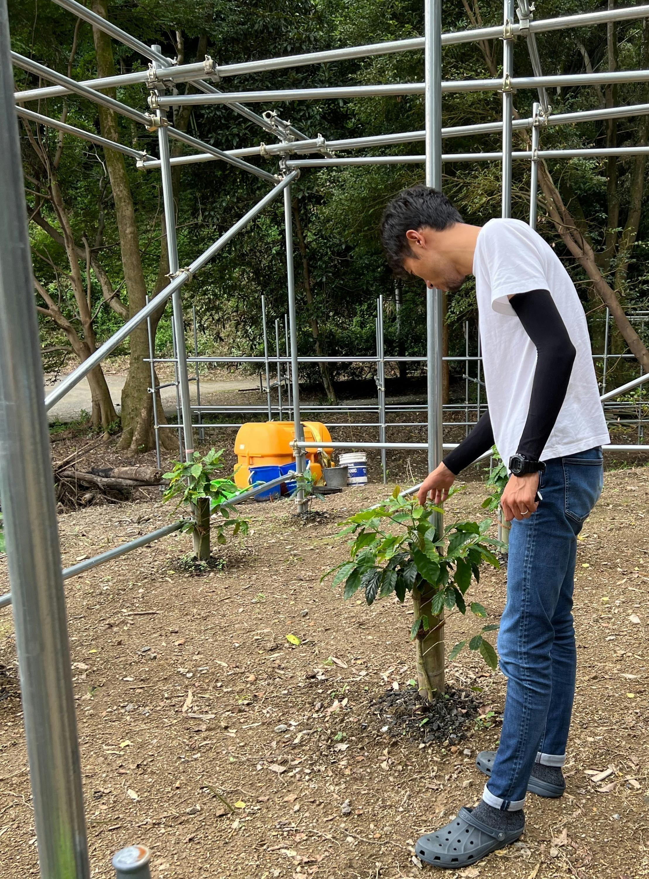 2番目のメイン画像