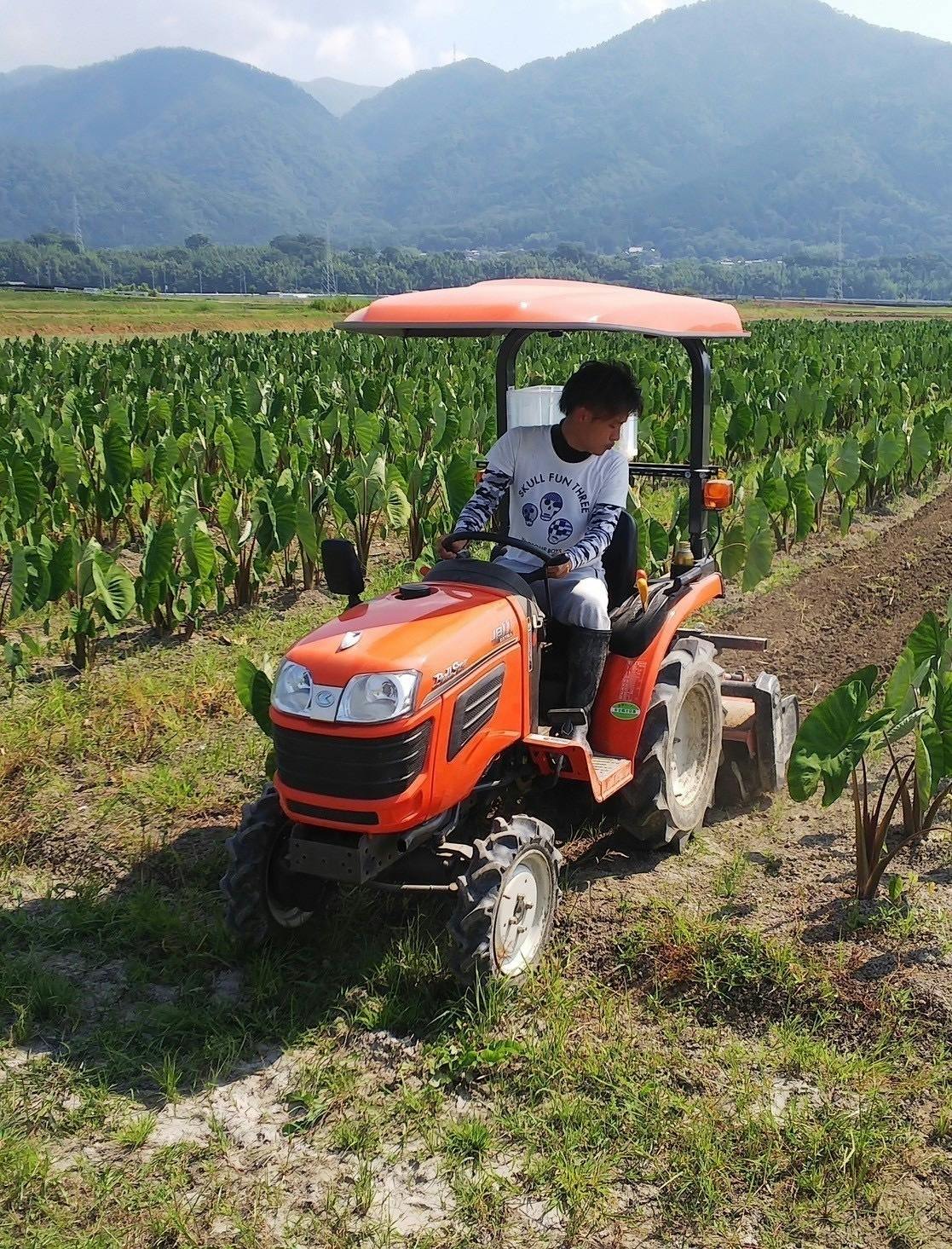 5番目のメイン画像