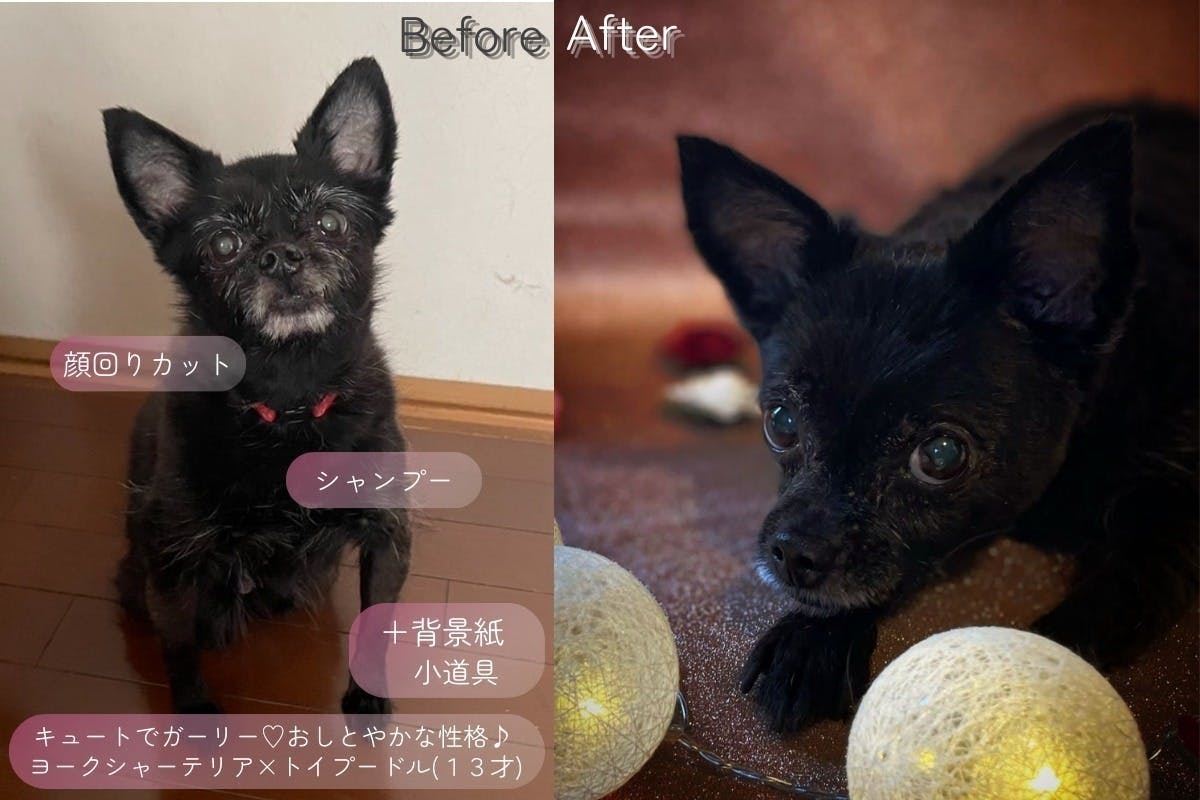 2番目のメイン画像