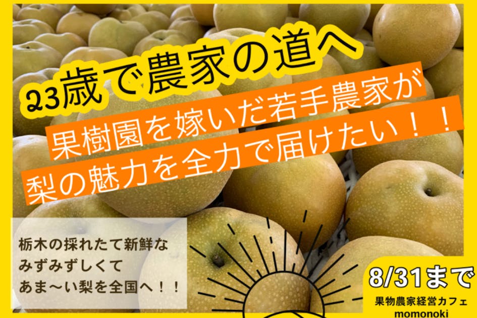 26歳若手農家の挑戦！栃木のブランド梨