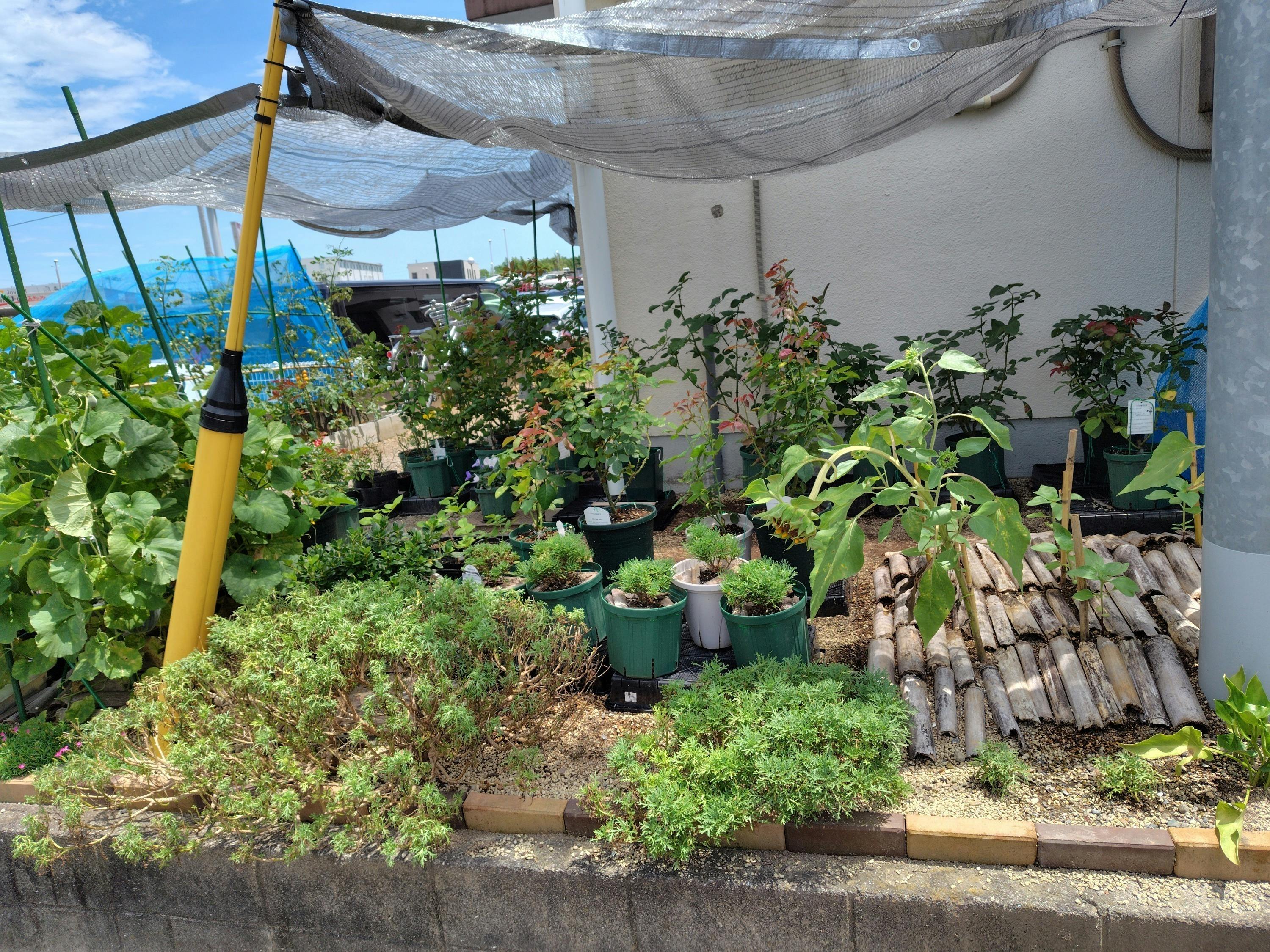 4番目のメイン画像