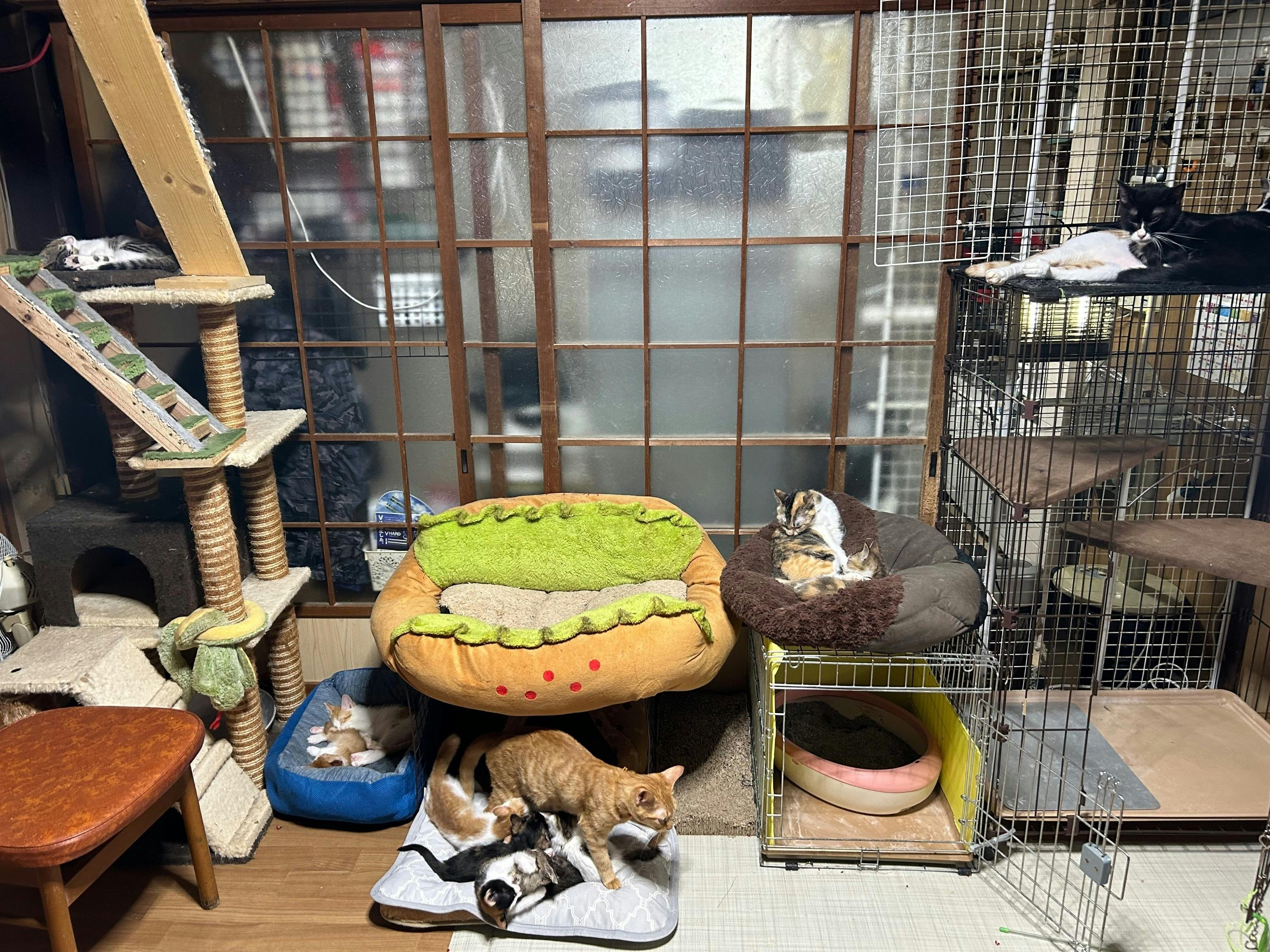 5番目のメイン画像