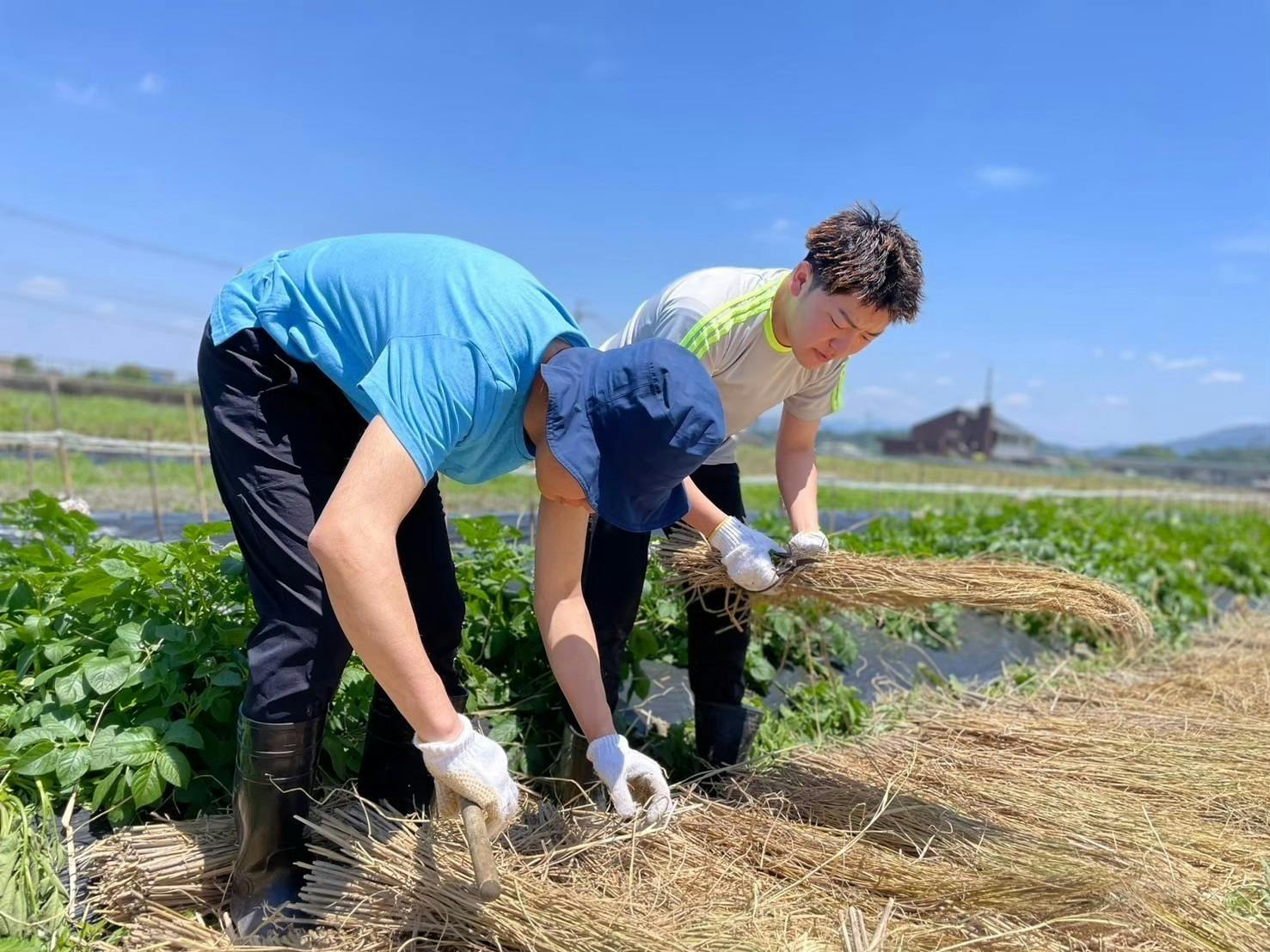 4番目のメイン画像