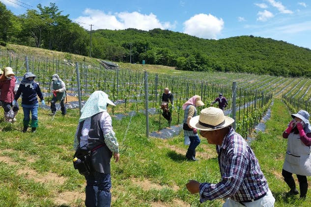 1番目のメイン画像