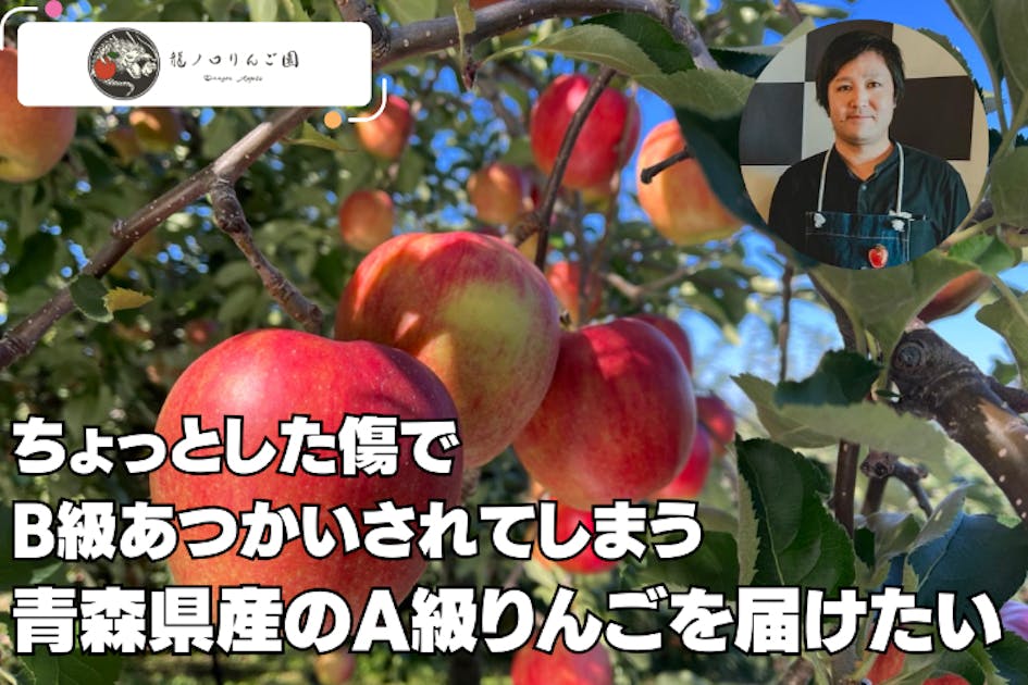 ちょっとした傷でB級あつかいされてしまう青森産のA級りんごを届けたい