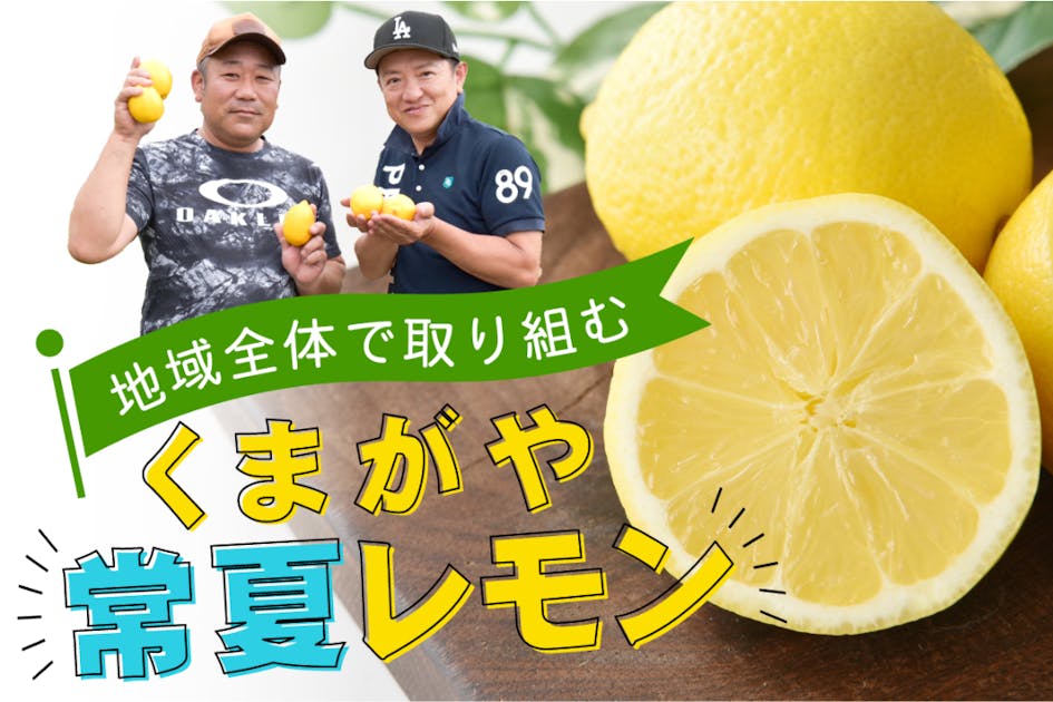 3a423a5e-7f01-45e9-88e3-