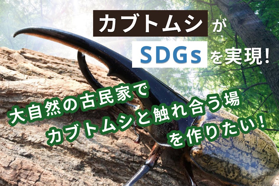 カブトムシがSDGsを実現】大自然の古民家でカブトムシと触れ合う場を