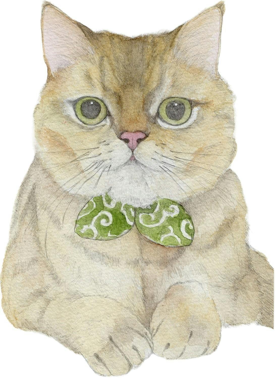 4番目のメイン画像