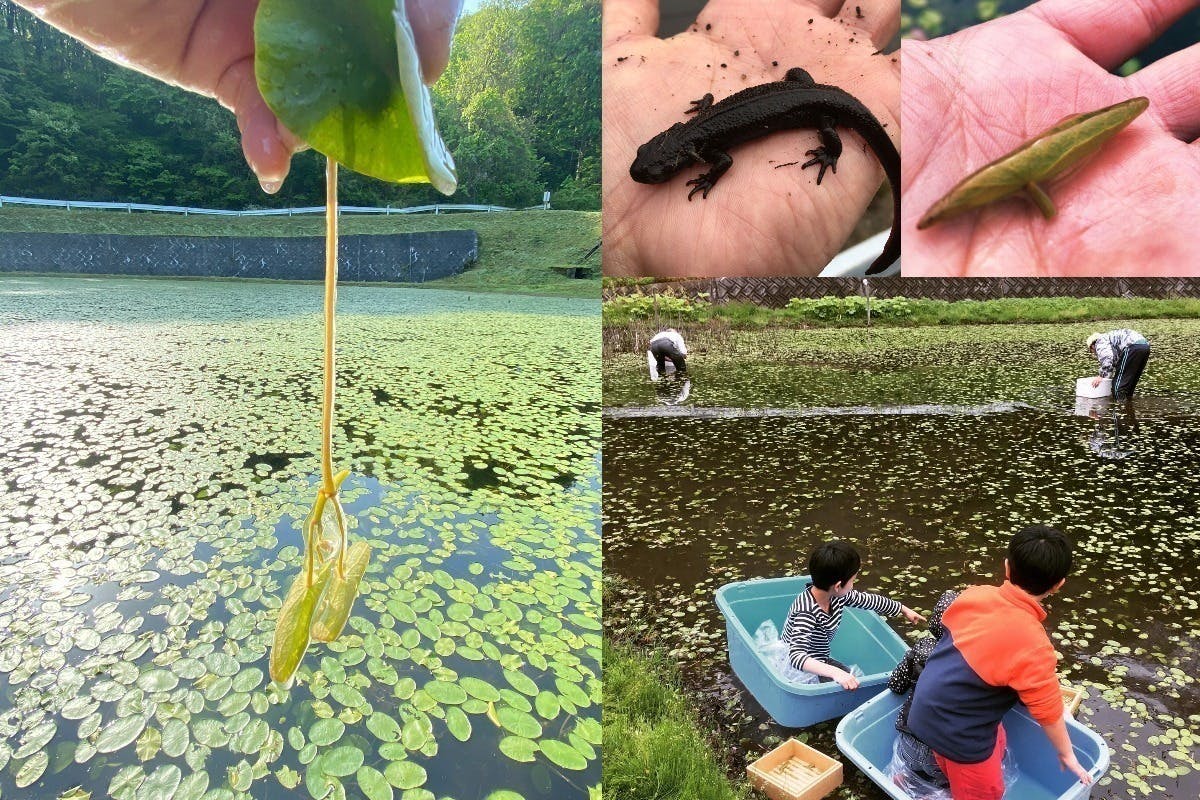 4番目のメイン画像