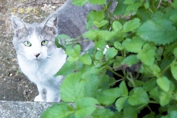 2番目のメイン画像