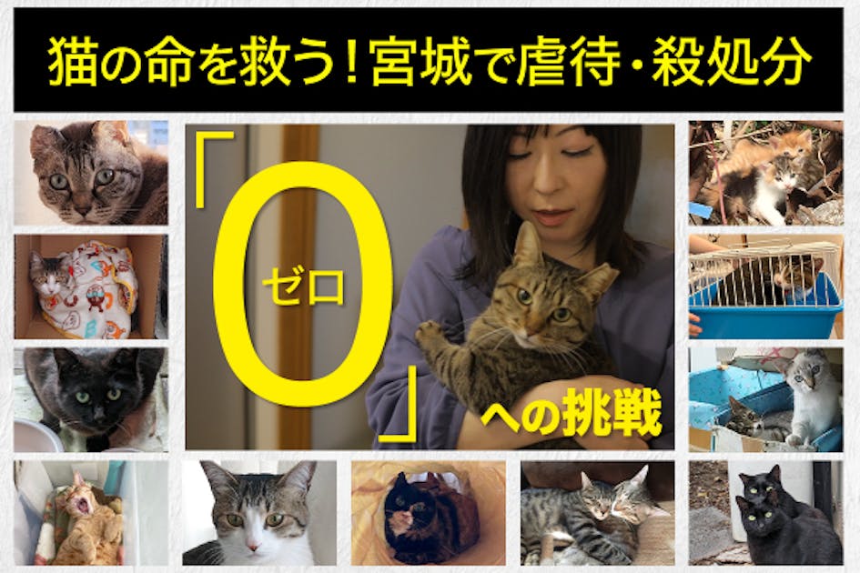 4061a1e7-8370-40dc-901d-