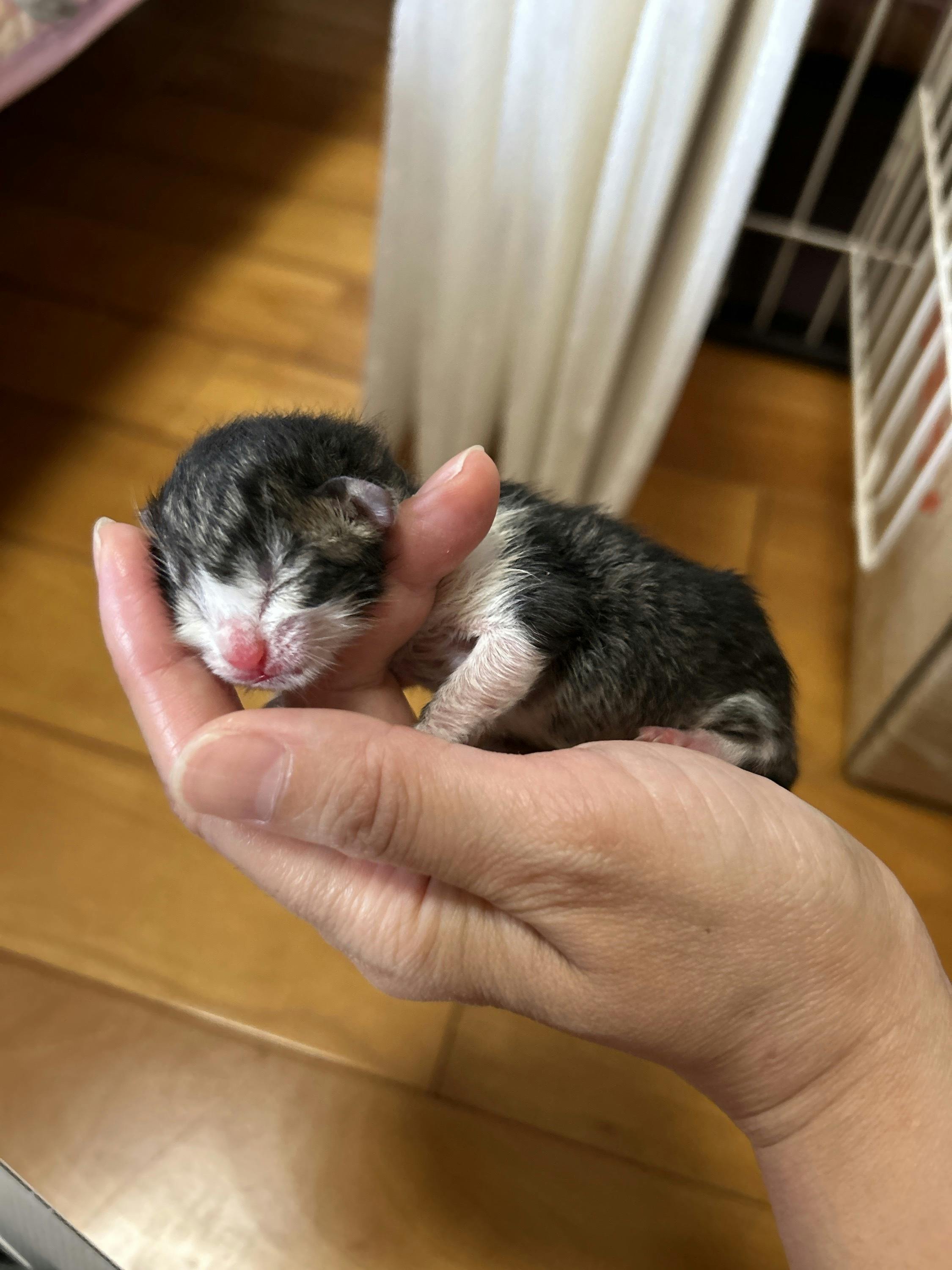 5番目のメイン画像