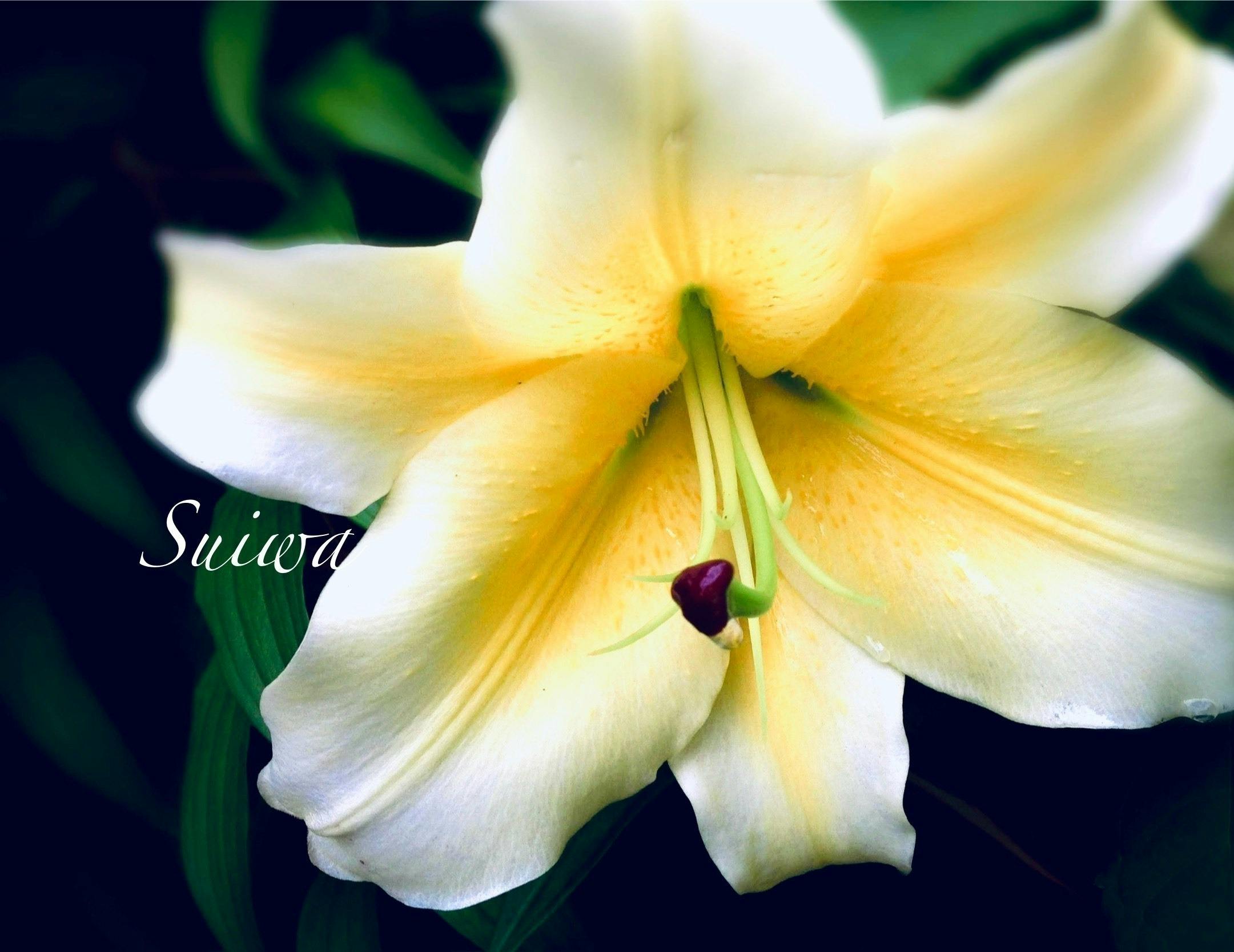 4番目のメイン画像