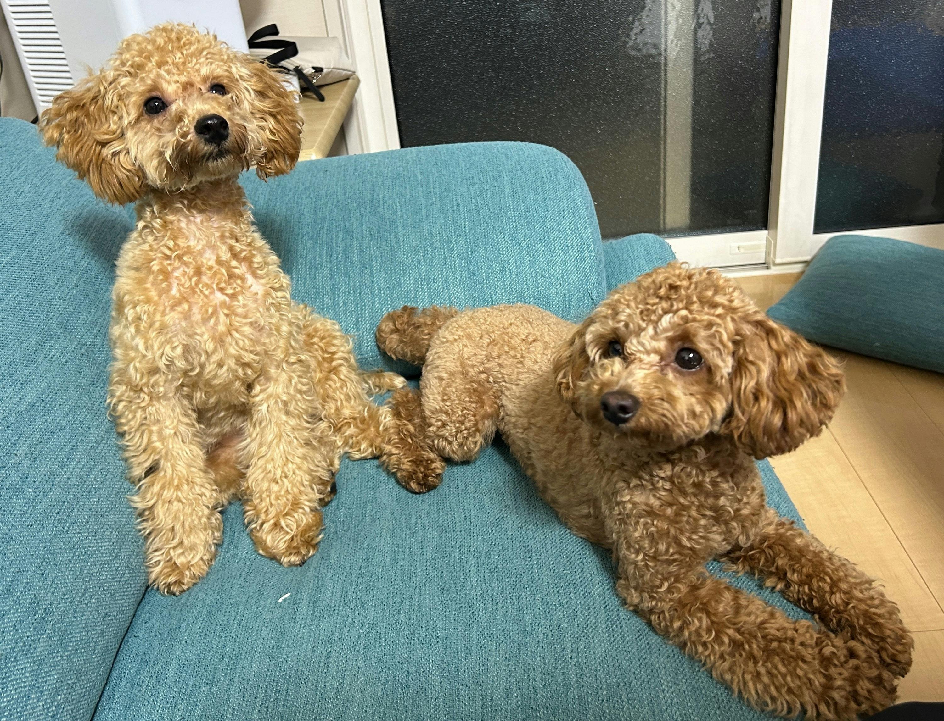 2番目のメイン画像