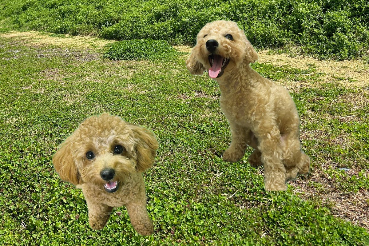 1番目のメイン画像