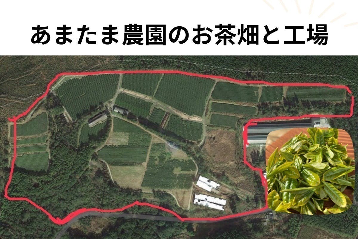 5番目のメイン画像