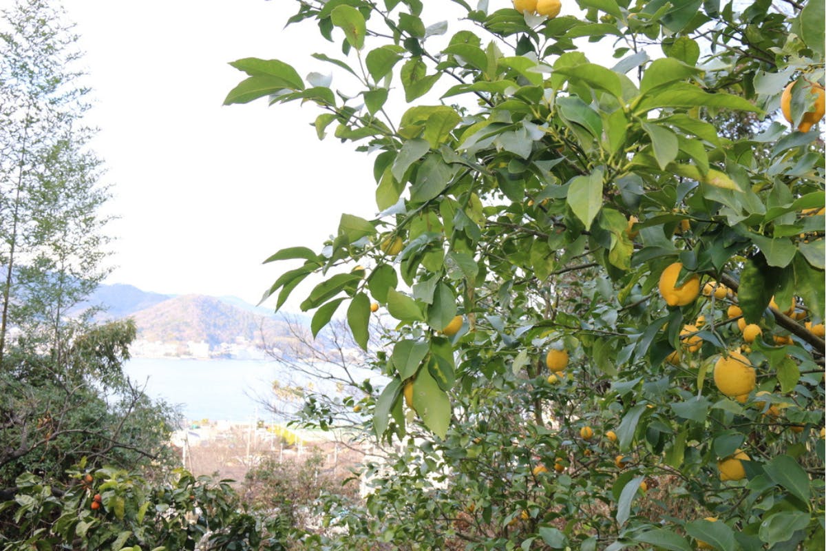 4番目のメイン画像