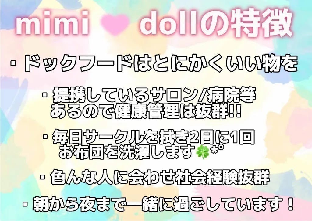 3番目のメイン画像