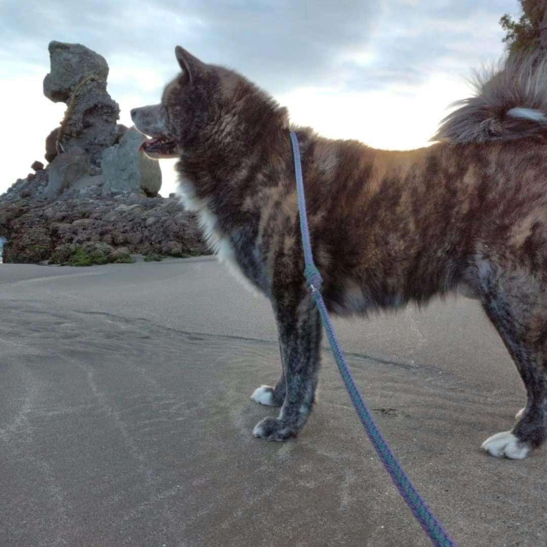 2番目のメイン画像