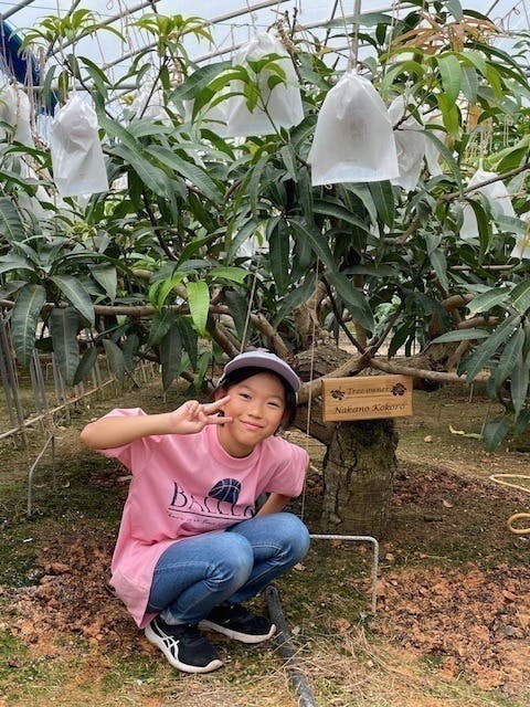 4番目のメイン画像