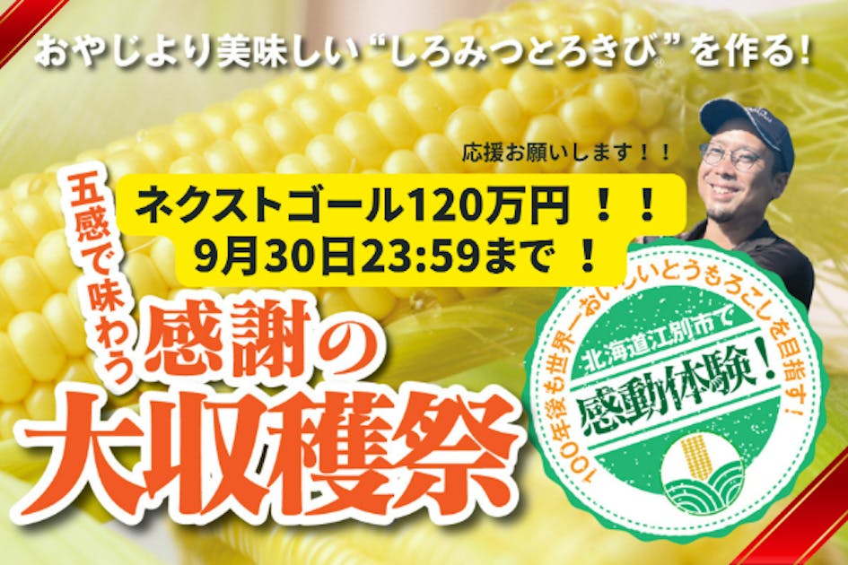 集英社 - とうもろこし様閲覧用 81JLLq1XjUL._UF894,1000_QL80_.jpg