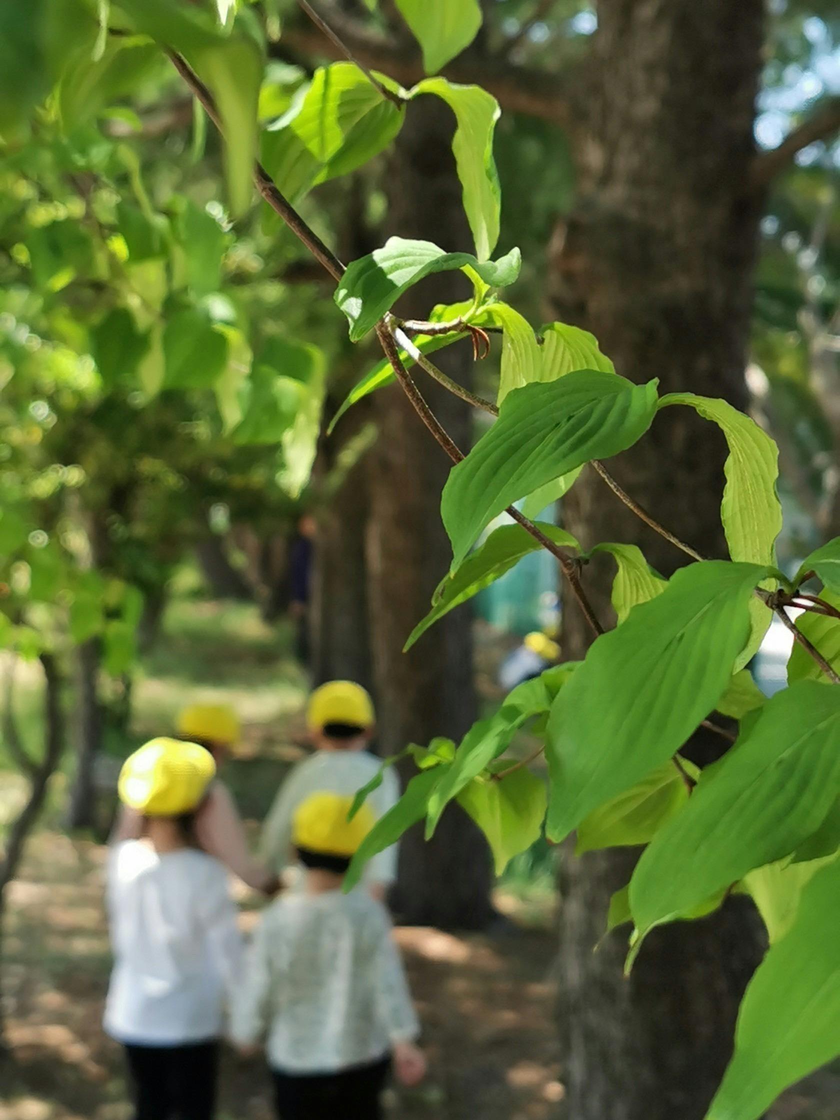 5番目のメイン画像