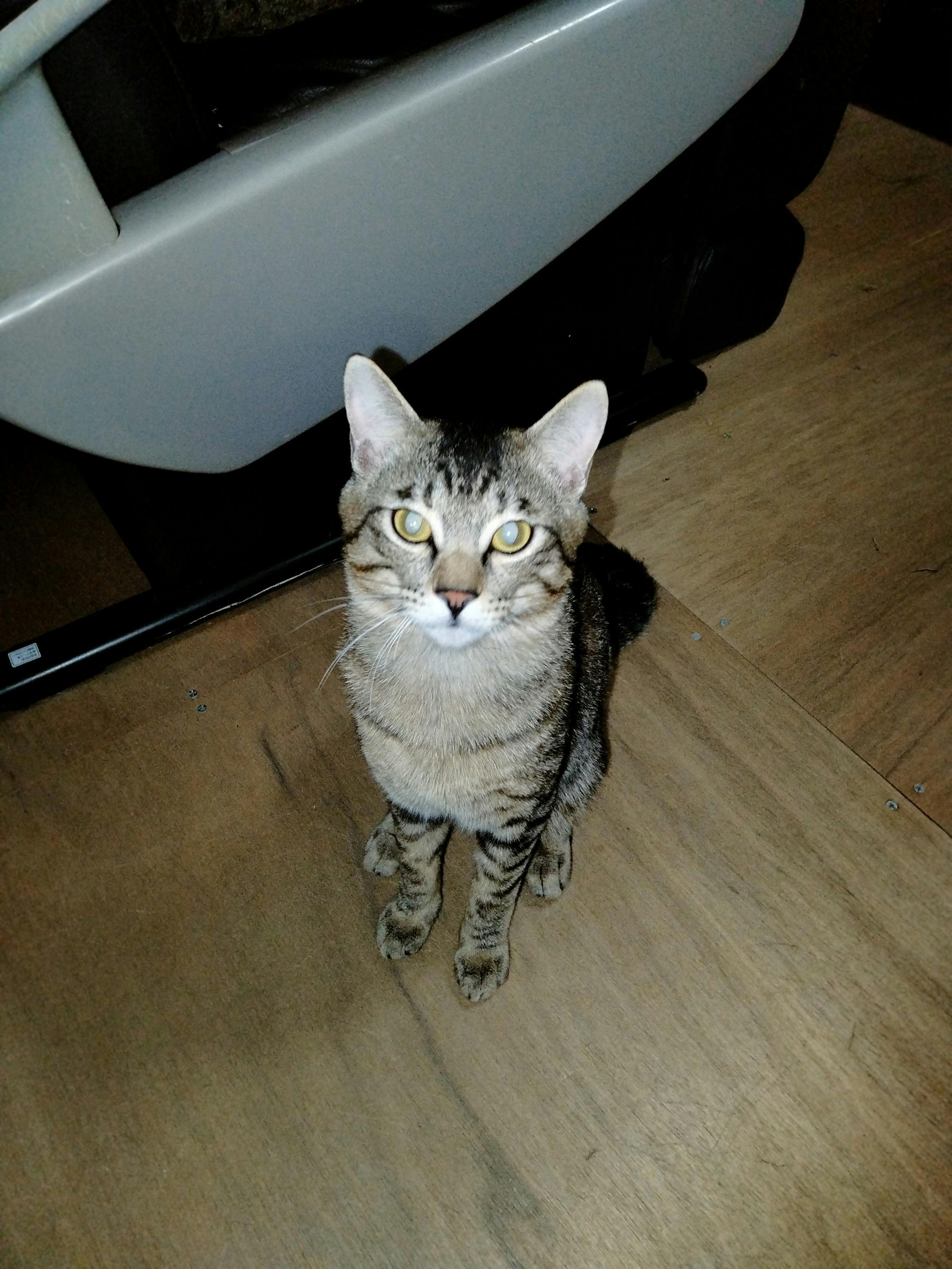 5番目のメイン画像