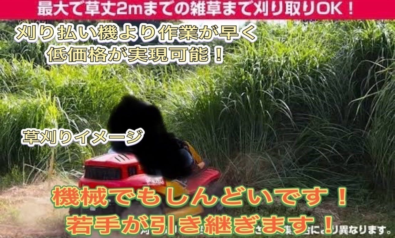 3番目のメイン画像