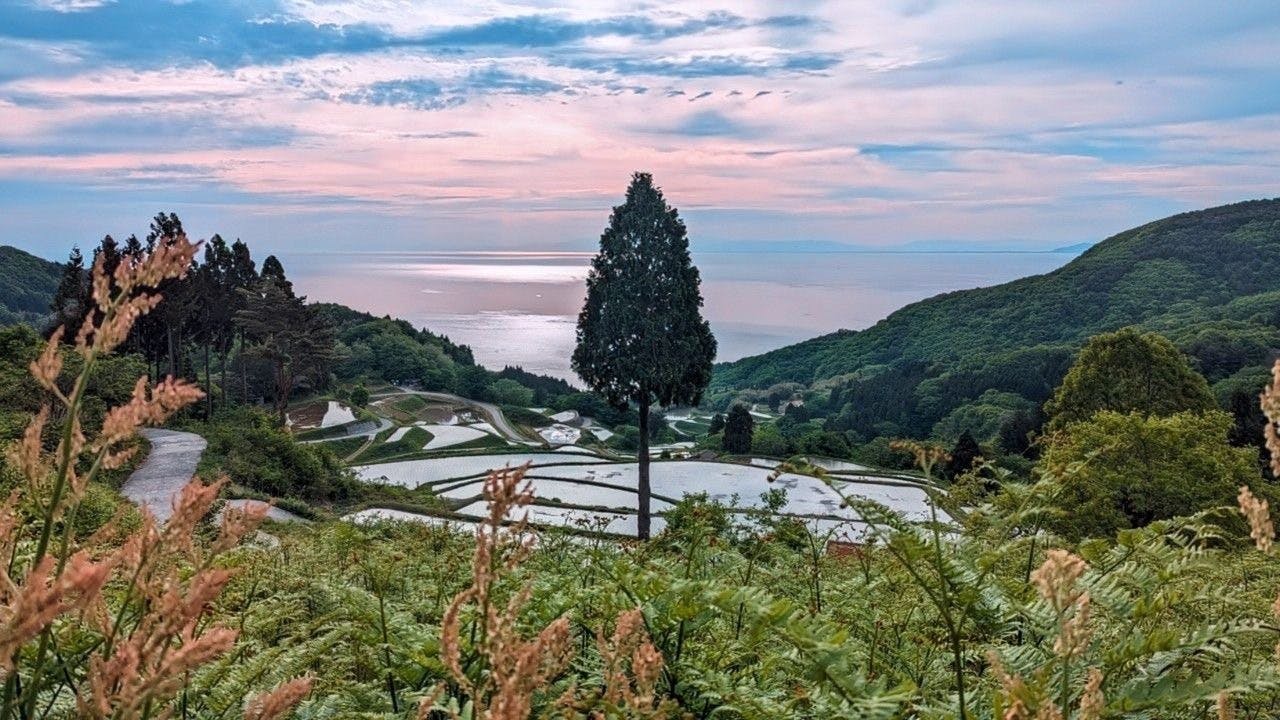 5番目のメイン画像