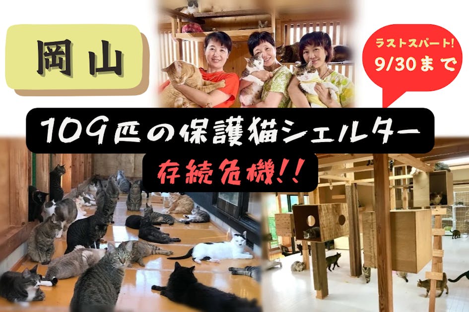 8a859c65-f4bc-4c07-b66a-