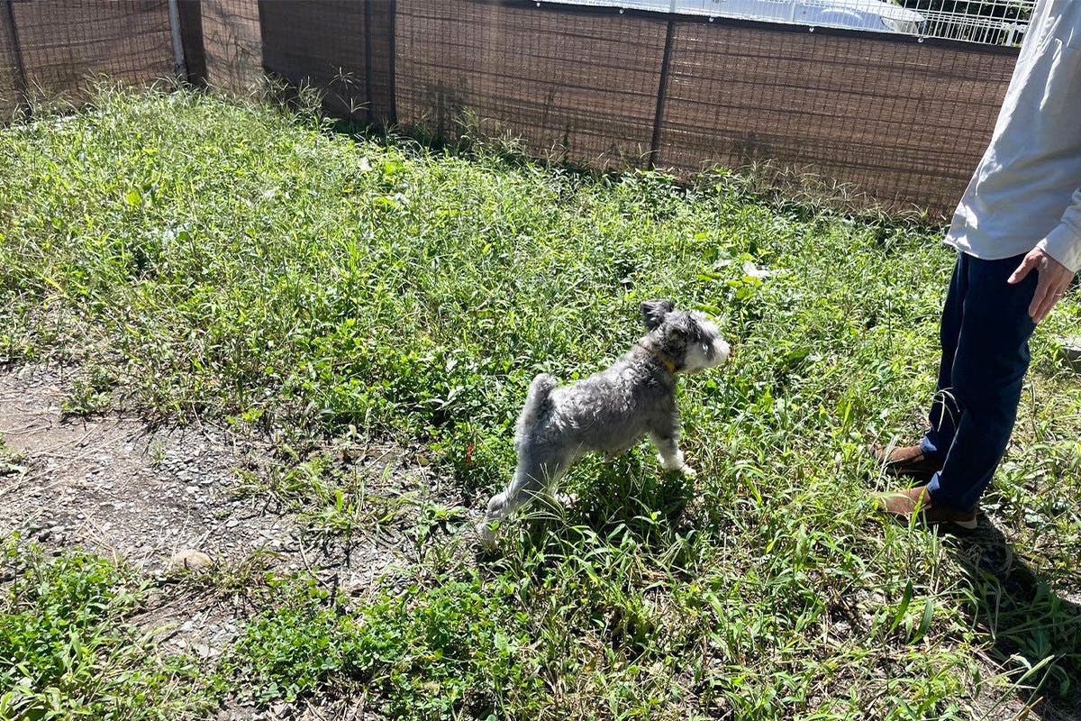 5番目のメイン画像