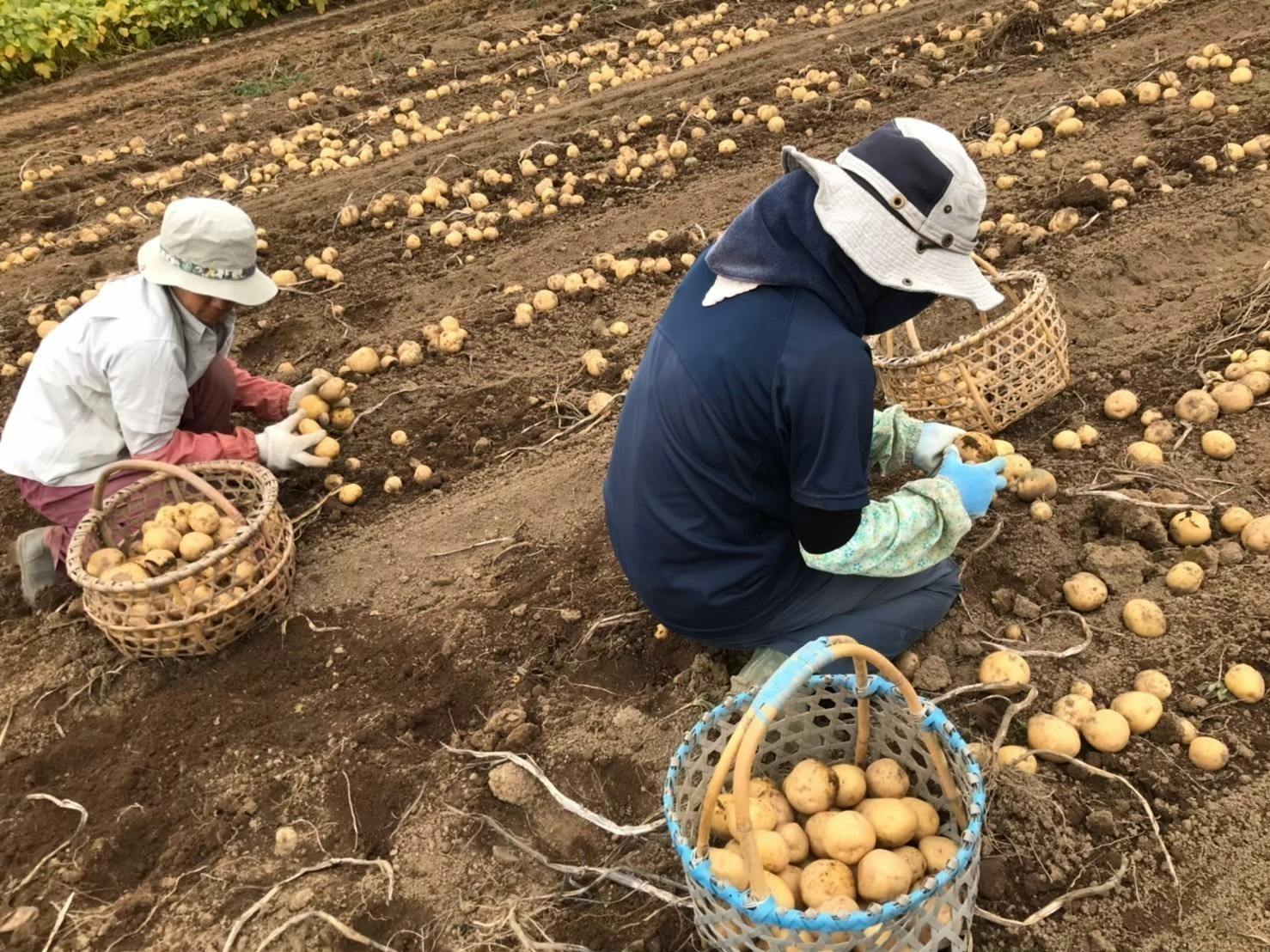 4番目のメイン画像