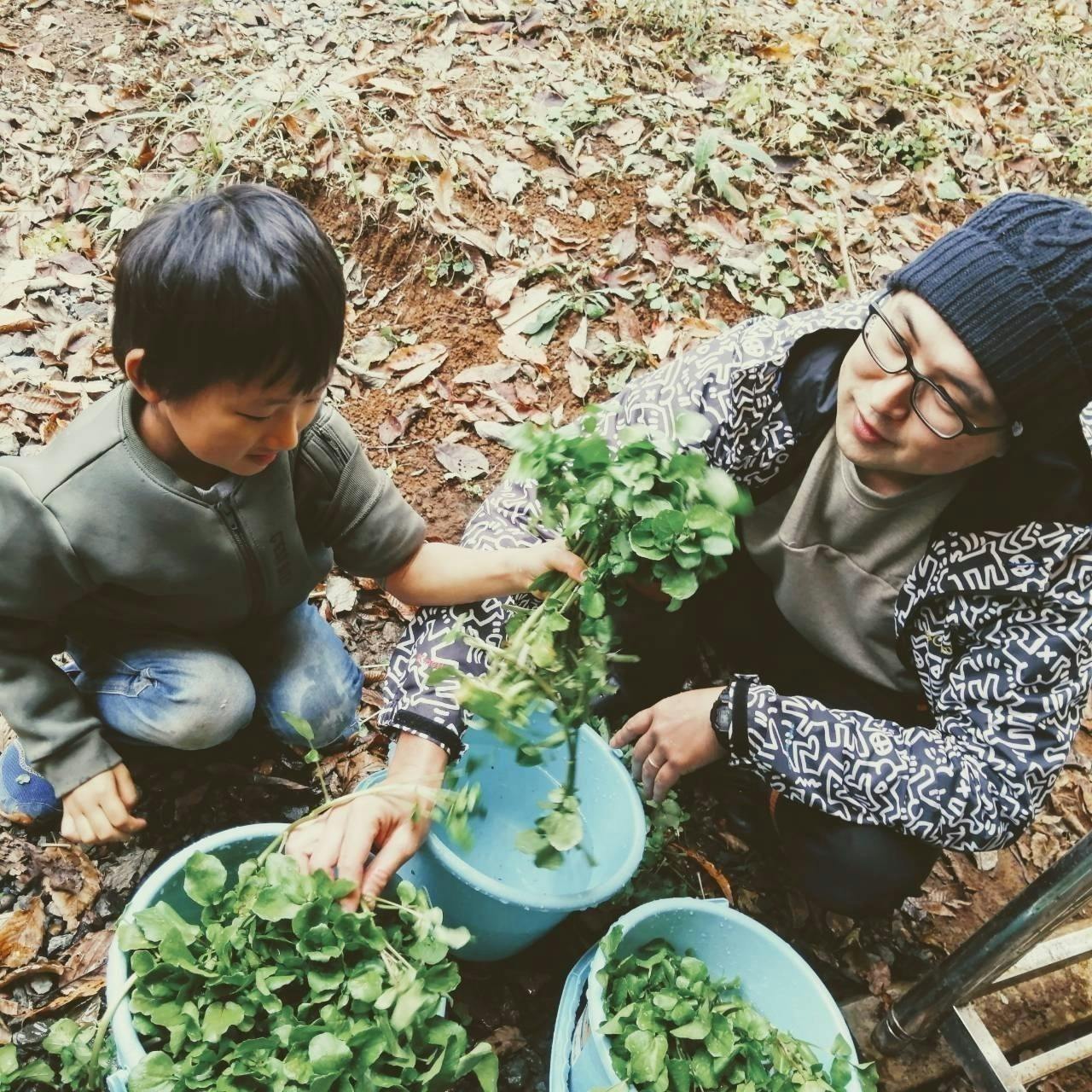 2番目のメイン画像