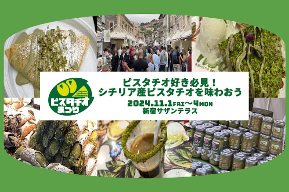 ピスタチオ36 2点おまとめ ピスタチオ