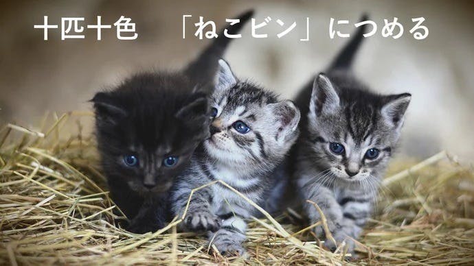 2番目のメイン画像