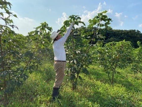 3番目のメイン画像