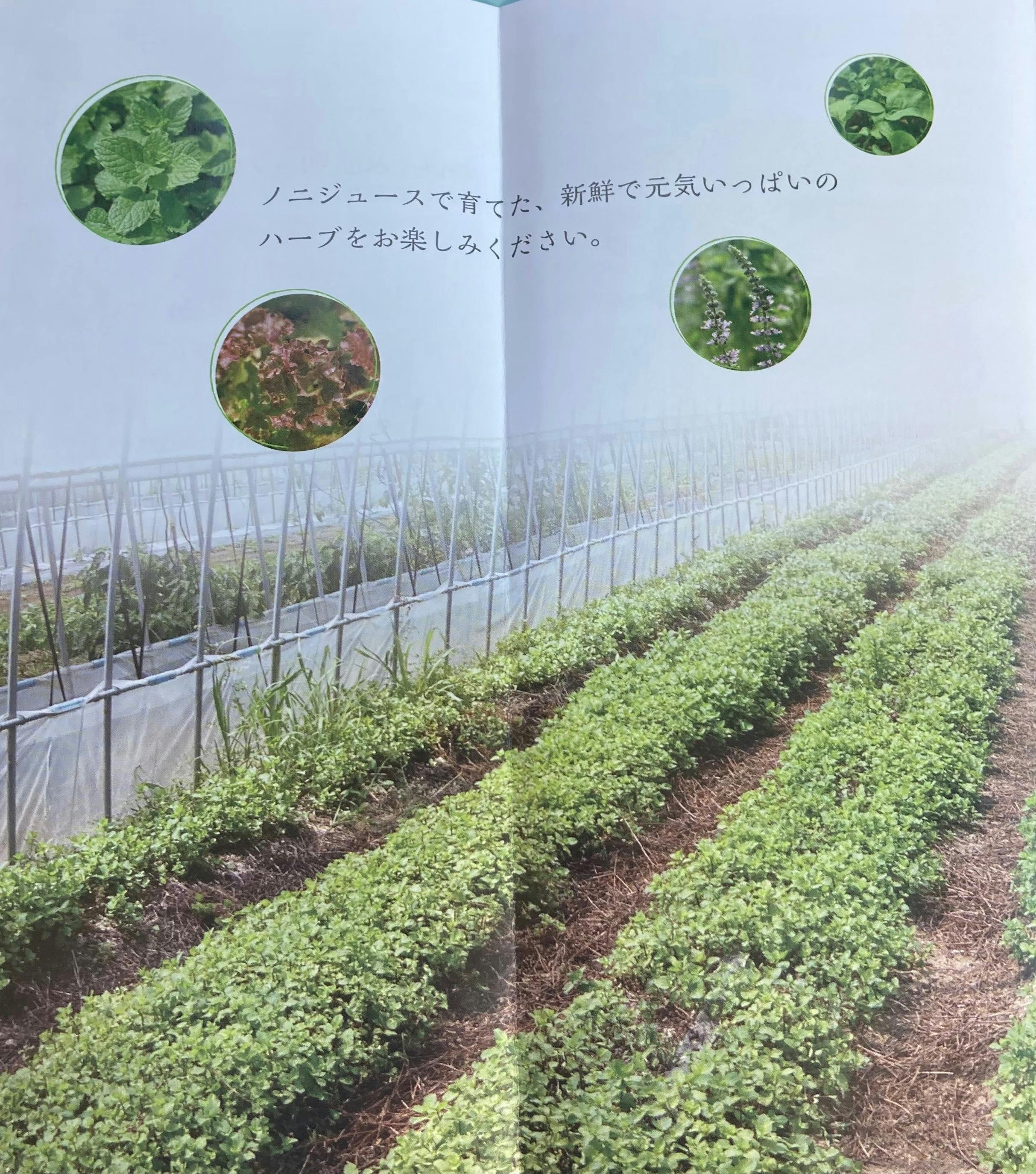 4番目のメイン画像