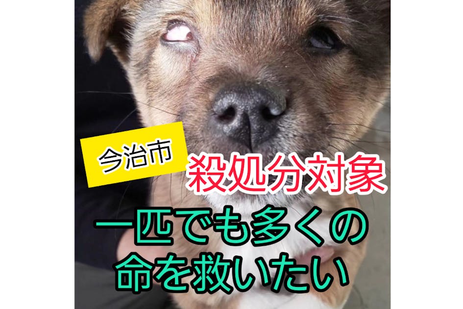 1ff66396-b0a5-41dd-a673-