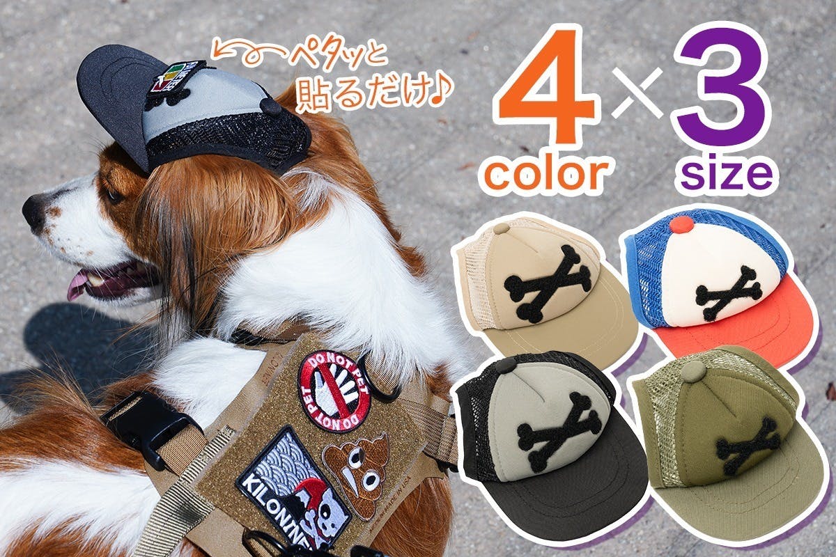 3番目のメイン画像