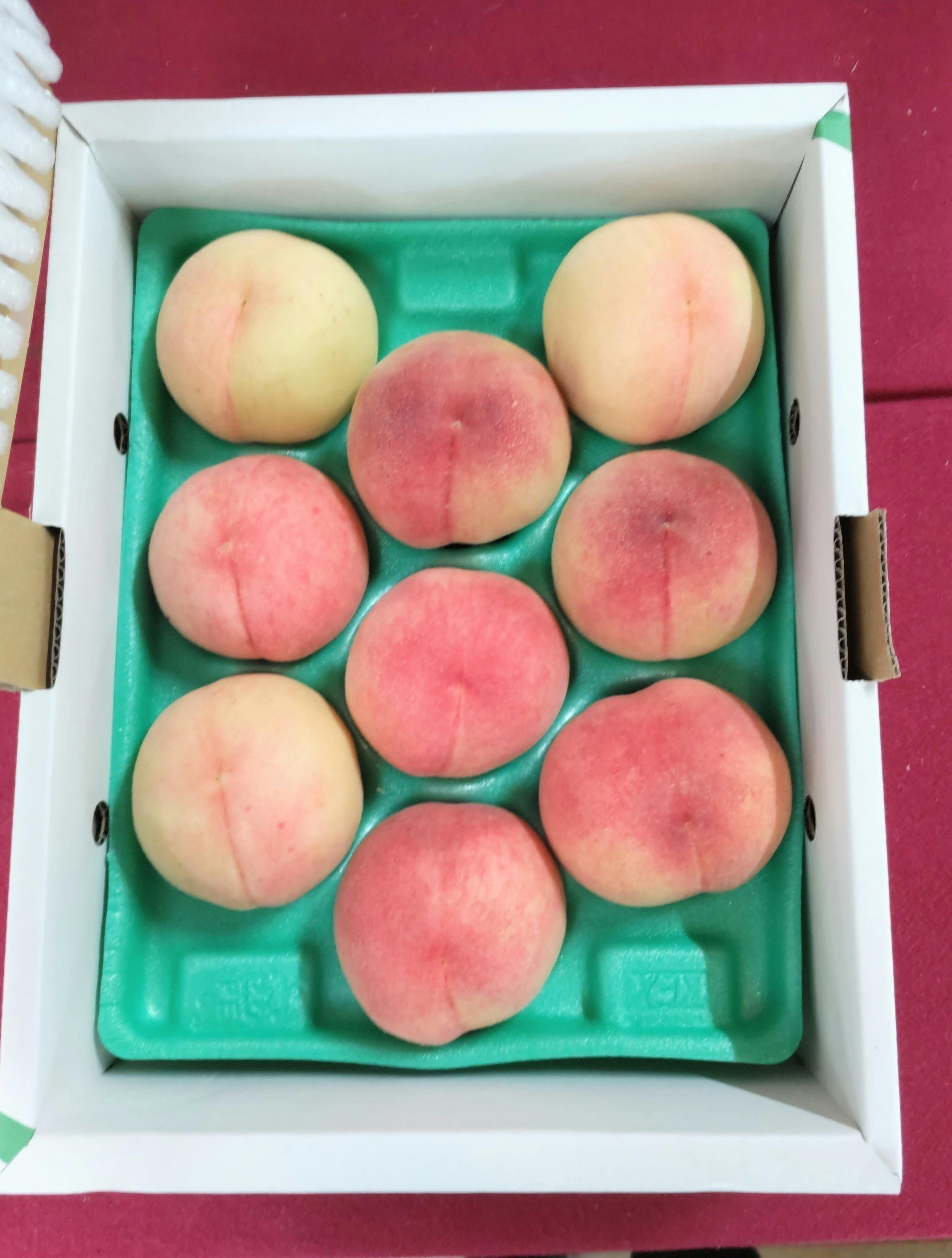 4番目のメイン画像