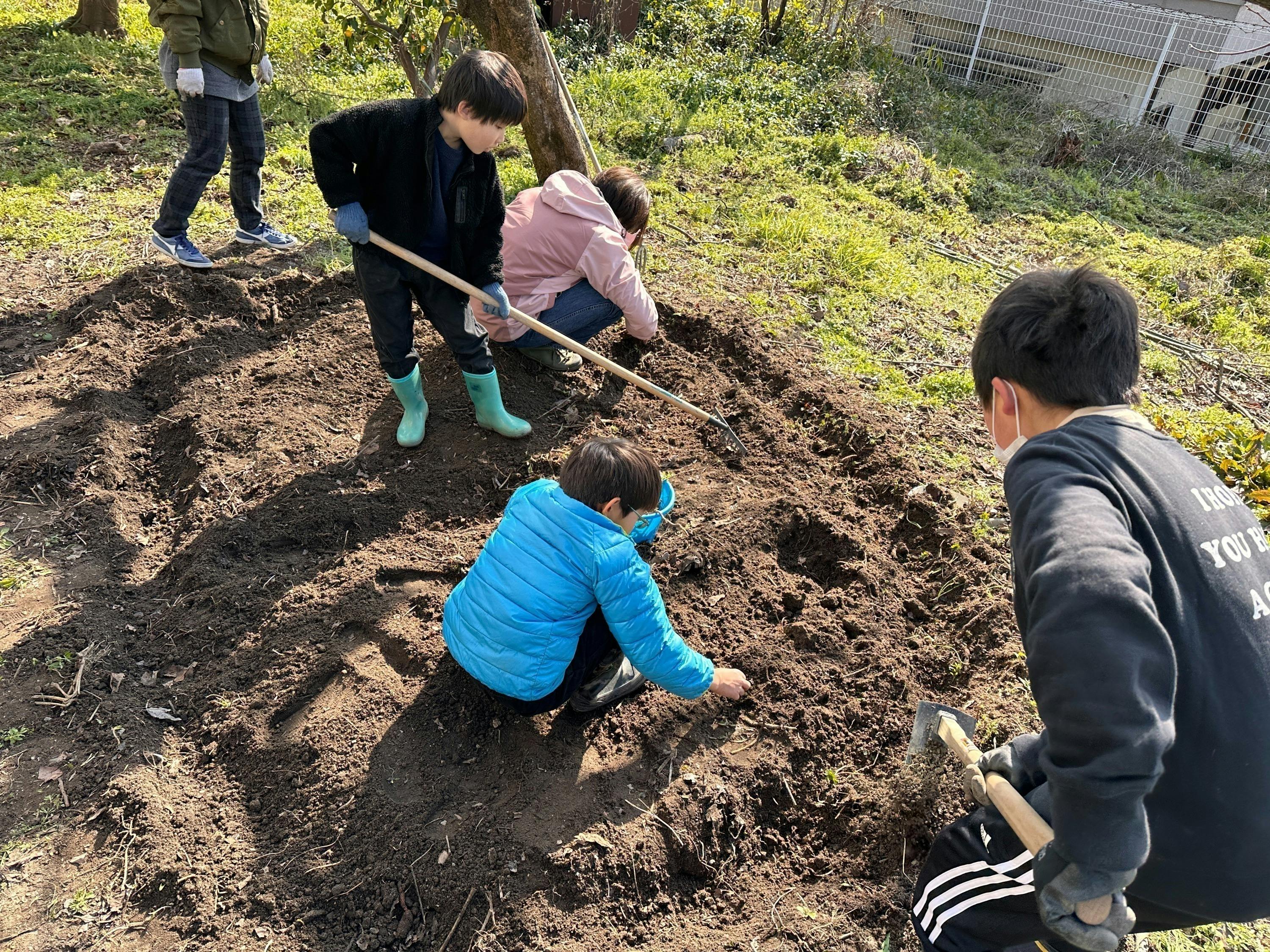 3番目のメイン画像