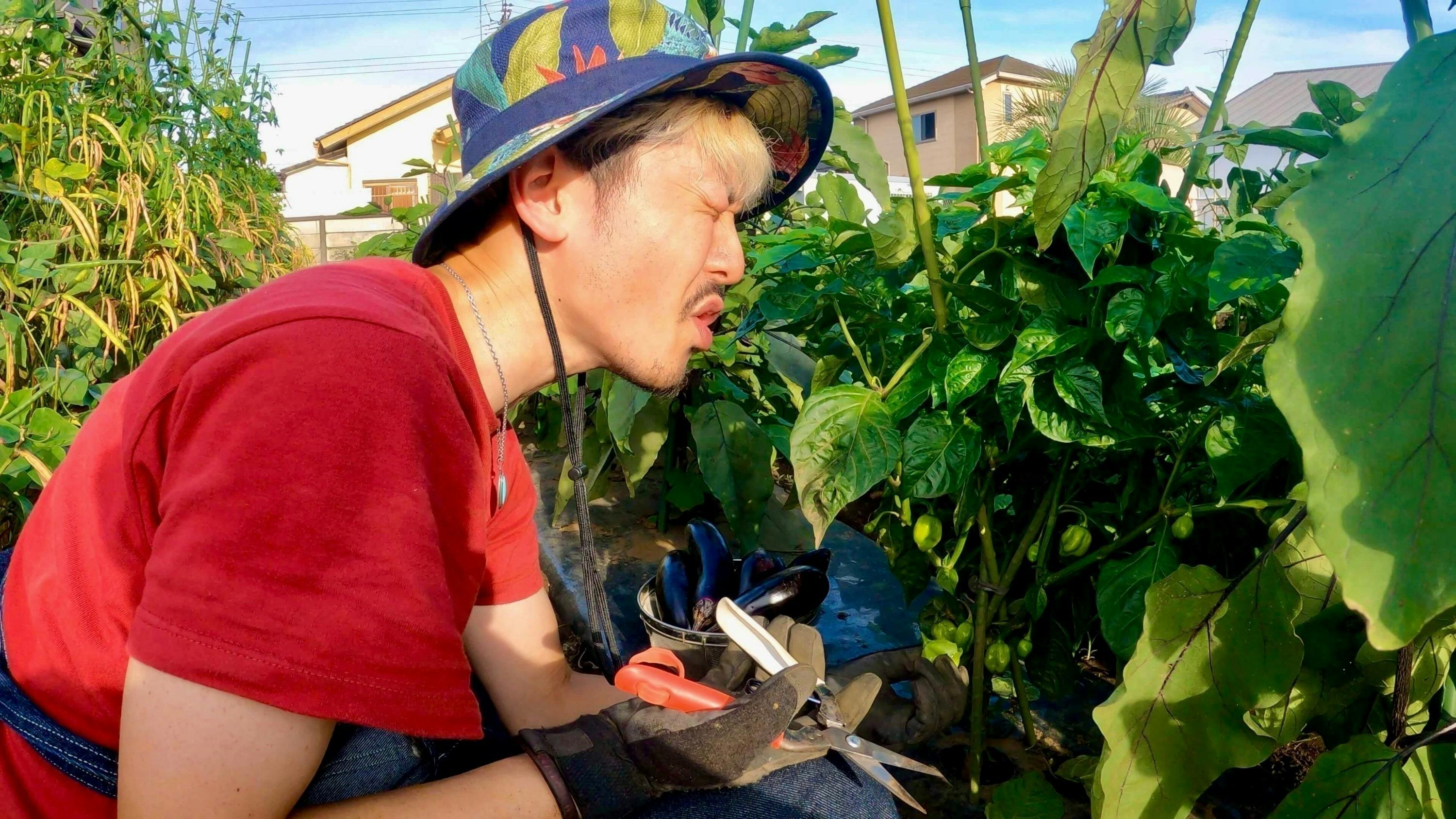 3番目のメイン画像